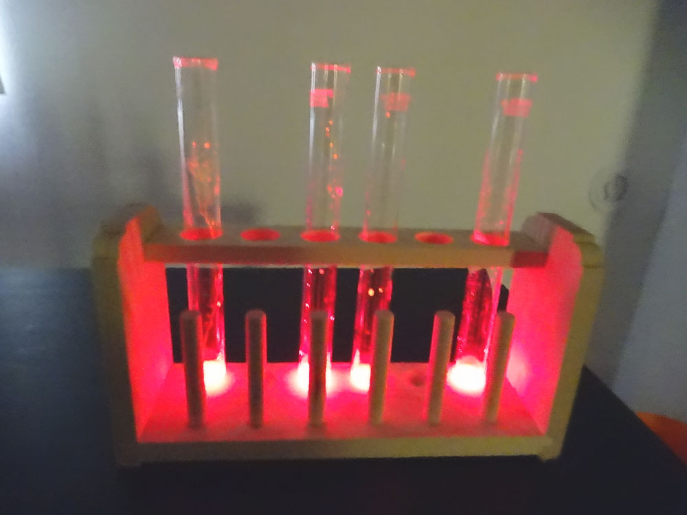 化学発光実験