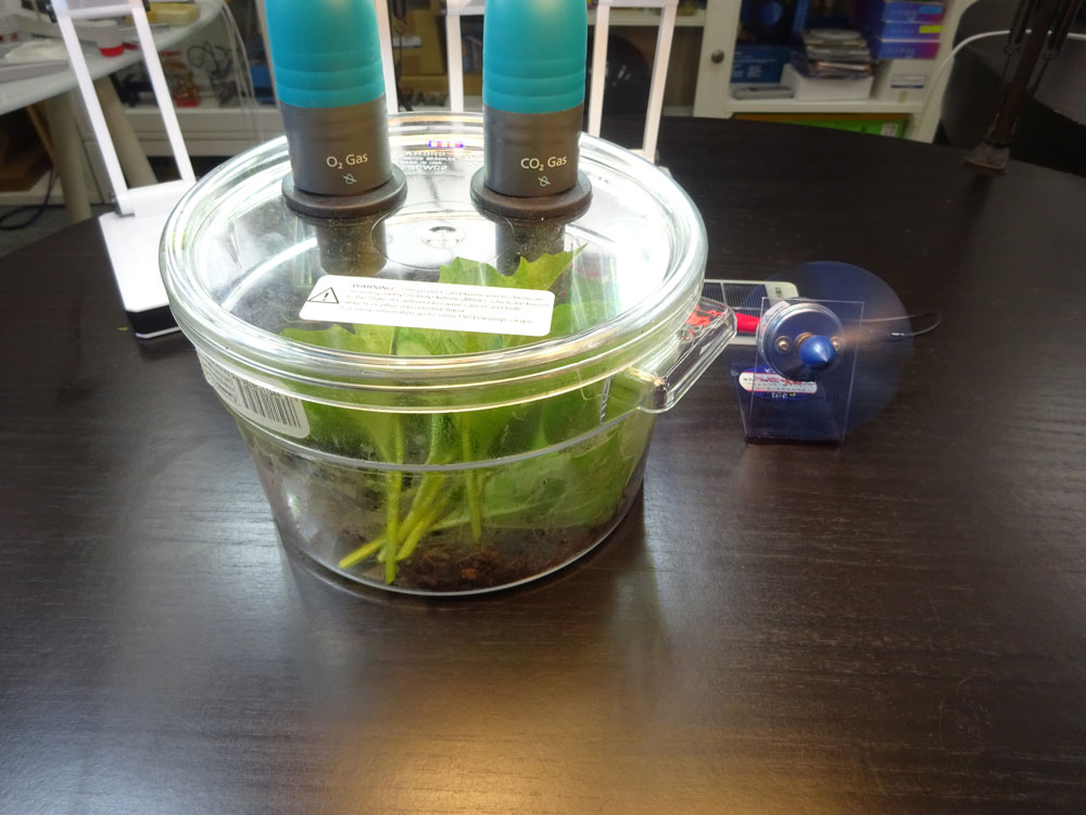 光合成の実験